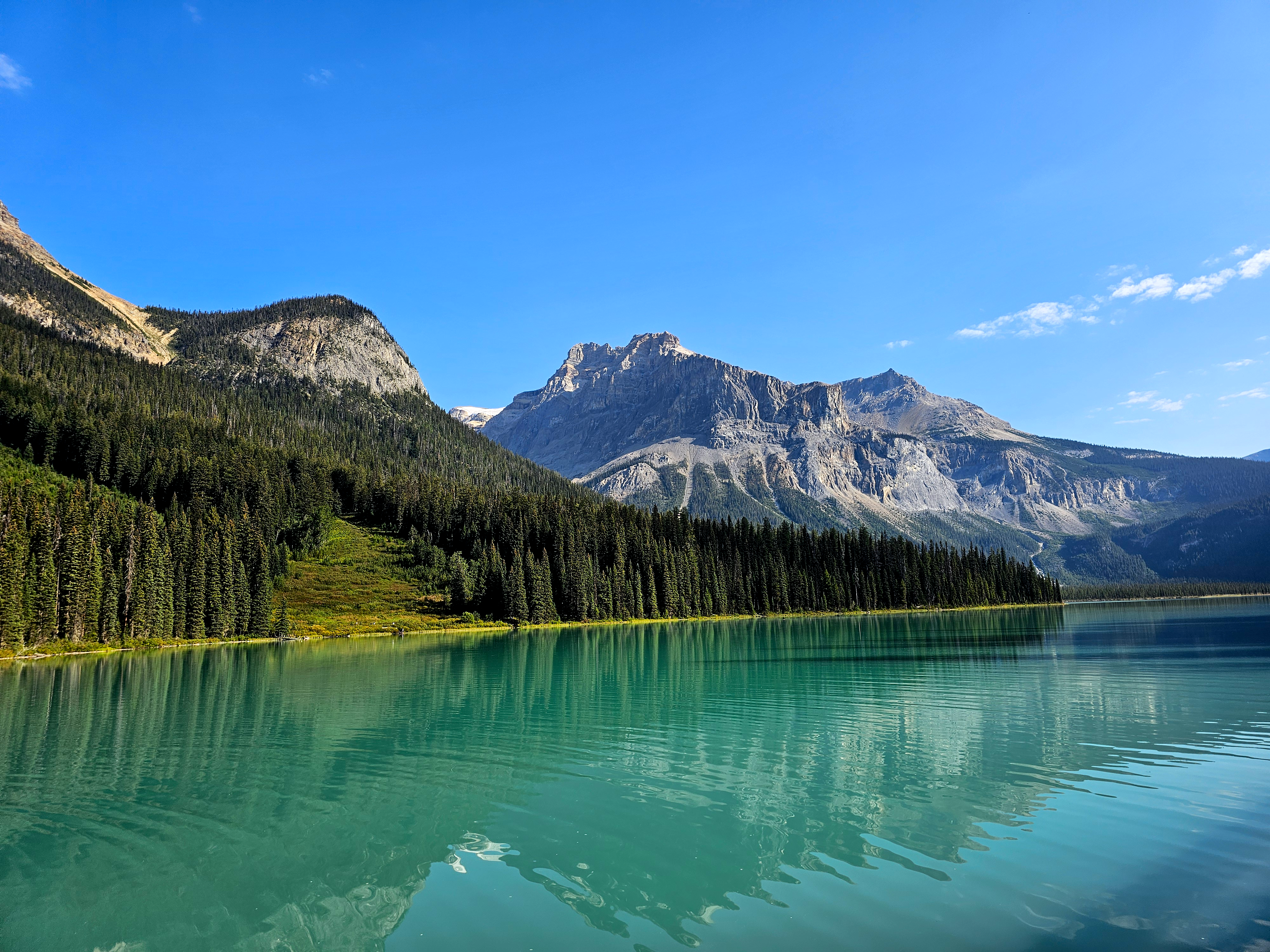 Emerald Lake in Yoho National Park, British Columbia, with calm turquoise water reflecting evergreen forest and rugged mountain peaks under a clear blue sky.